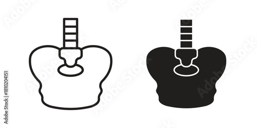 Pelvic area icon illustration, thin line vector, web design sign,