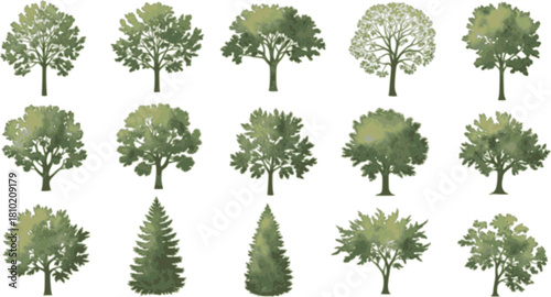 Detailed Watercolor Trees (Top View) for Architectural Plans. Landscape Design, Site Plan, Overhead View, & CAD Drafting Elements.
