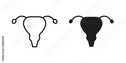Uterus icon illustration, thin line vector, web design sign,