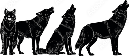 Group of wolves howling in silhouette against a white background