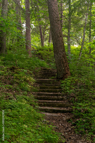 Old mossy stone steps leading uphill through the lush green forest of Keila-Joa, Estonia, creating a peaceful and slightly mysterious woodland atmosphere.
