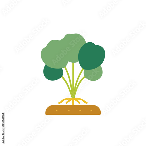 A_Simple_flat_2D_icon_of_a_broccoli_sprout_isolated, simple illustration with EPS format design