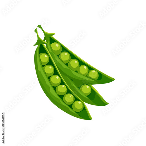 A_Simple_flat_2D_icon_of_a_bunch_of_green_peas_isolated,  simple illustration with EPS format design