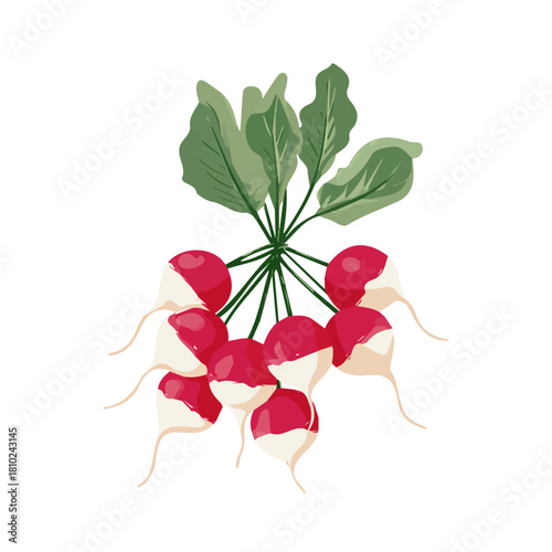 A_Simple_flat_2D_icon_of_a_bunch_of_radishes_isolated,  simple illustration with EPS format design