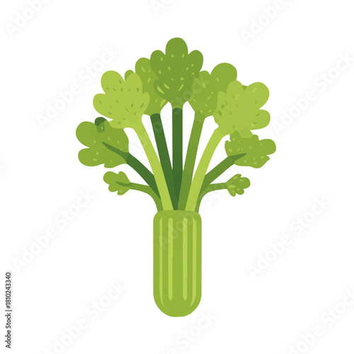 A_Simple_flat_2D_icon_of_a_celery_stalk_isolated_on_a_white, simple illustration with EPS format design