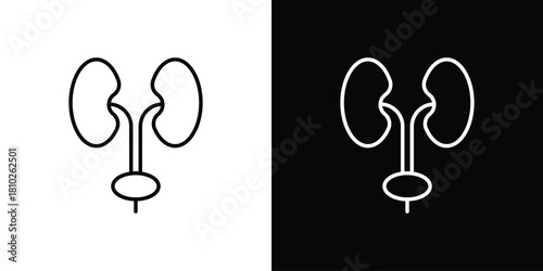 Urology icons pack. Set of black and white liner stroke symbols