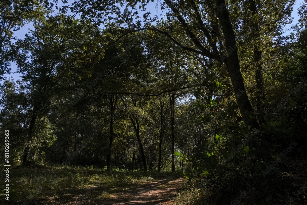 Fototapeta premium beira rio