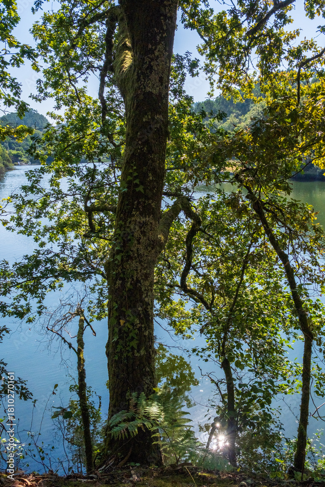 Fototapeta premium beira rio