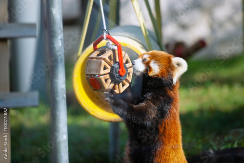 天王寺動物園の動物