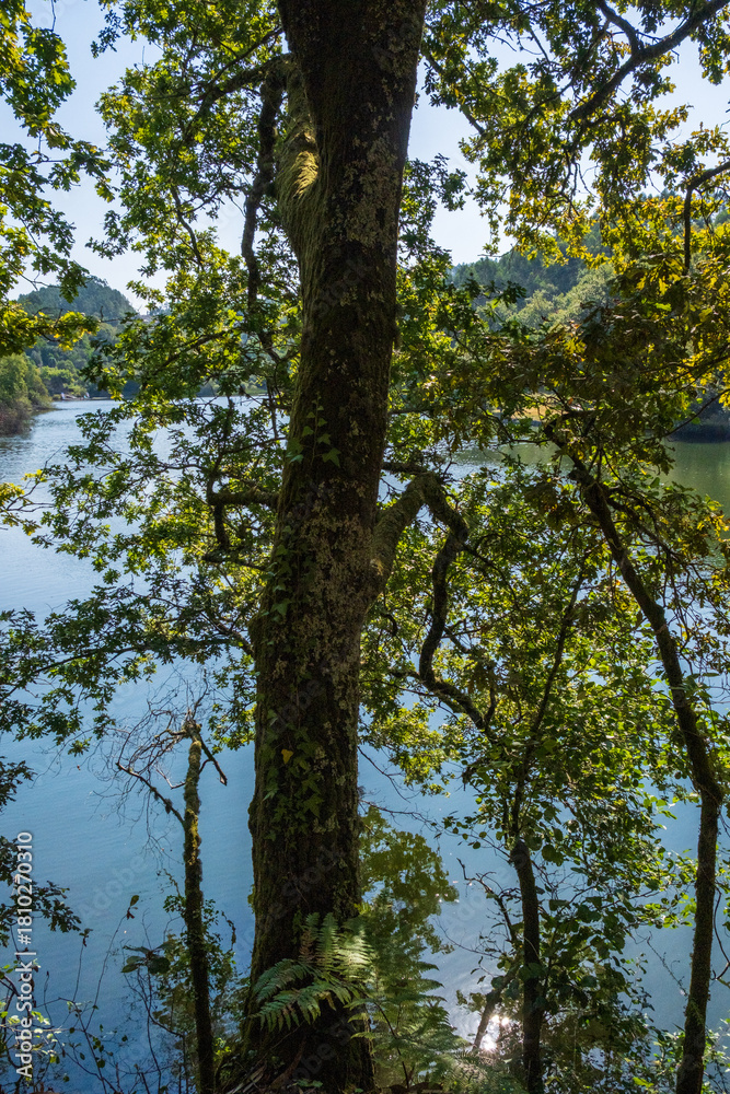 Obraz premium beira rio