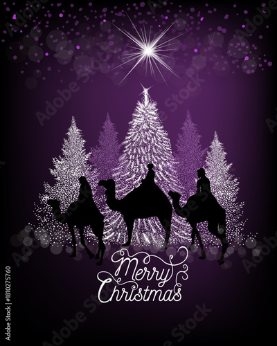 Merry Christmas. The Magi ride on camels to the Christmas star. Not AI, vector illustration.