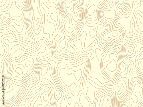 Abstract topographic contours map background .Topographic background and texture, monochrome image. Topography and geography map grid abstract backdrop. Business concept. Topography map concept.