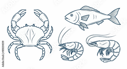 Illustration of a crab fish and two shrimps in a simple outline style seafood drawing design art work