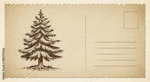Vintage postcard featuring a detailed drawing of a pine tree with lines for writing a message