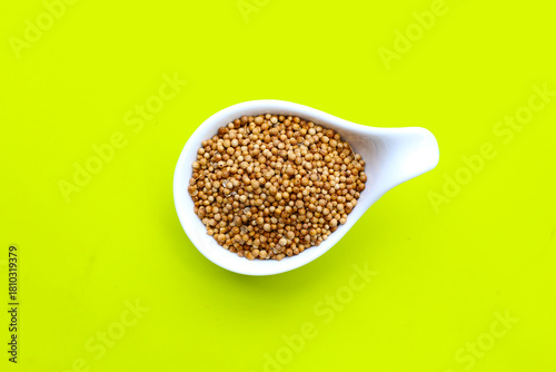 Brown coriander seeds on white background.