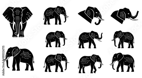 Sophisticated elephant illustrations featuring circuit patterns, perfect for technology, science, and animal-themed designs. Modern and impactful designs.