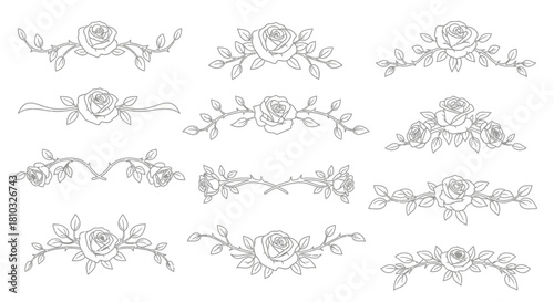 Elegant rose flower design elements for invitations and cards, original vector graphic with scalable design for versatile use, vintage floral decoration
