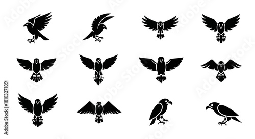 Dynamic collection of powerful bird icons showcasing flight, majesty, and freedom for bold branding and impactful designs