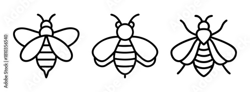 Three simple black and white bee illustrations vector drawing honeybee insect design outline art work