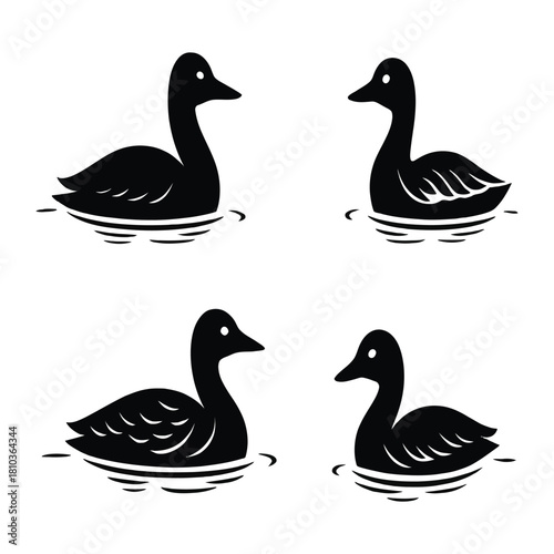 Four ducks are swimming peacefully in the water, isolated on white background these elegant birds create a serene scene, bringing a touch of nature and tranquility to any design