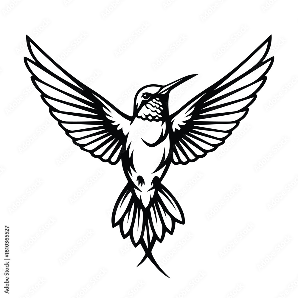 Obraz premium Detailed Black Outline Flying Hummingbird Vector Art