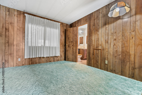 Quadro em tela A vacant room with wood paneling and a green carpeted floor