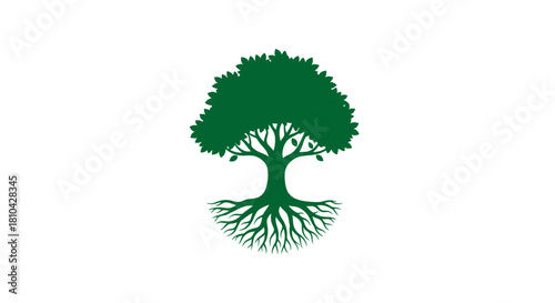 Symbol of Life: An emblem representing the tree, with flourishing foliage and intricate roots, symbolizing growth and connection.