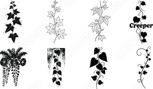 Collection of decorative creeper plant illustrations featuring various vine leaves, climbing stems, botanical elements, and ornamental foliage designs, elegant nature vector artwork set