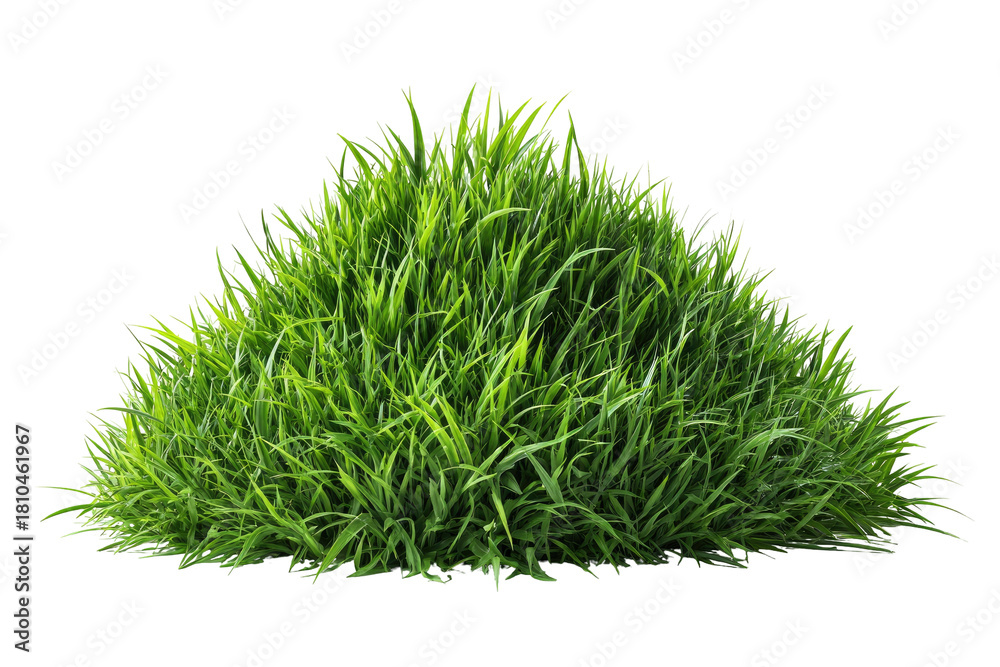Fototapeta premium Lush, dense green grass mound against a dark background