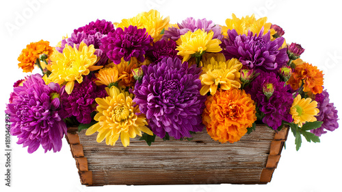 A colorful bouquet of flowers in a wood planter box