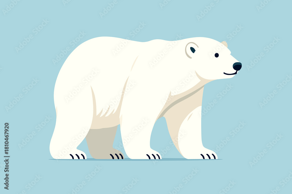 Fototapeta premium polar bear vector illustration