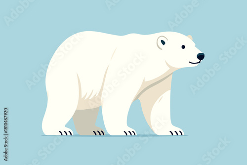 polar bear vector illustration