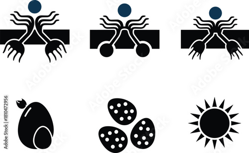 Abstract amphibian egg hatching stages illustration, tadpole development vector graphics, biological growth concept icons, modern educational nature science design