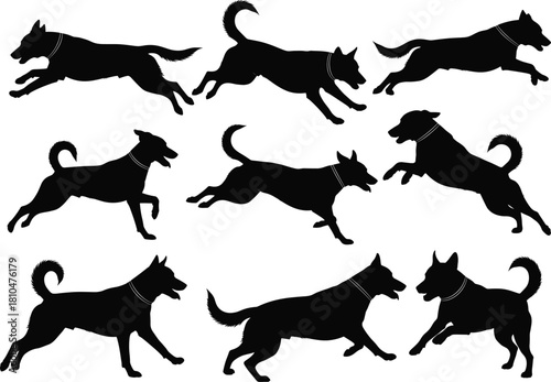 Multiple running dog silhouettes in motion, active domestic canine poses vector graphic set, playful energetic pet animal illustration design collection