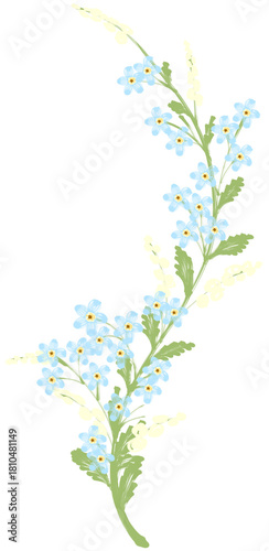 Winding Floral Sprig with Blue Flowers and Buds