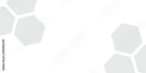 Hexagonal geometric photo collage layout in a wide 2:1 aspect ratio