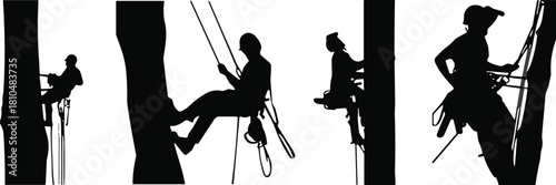 Arborist tree climbing silhouettes set, showing workers trimming and descending using ropes; professional forestry, job, safety, and outdoor labor concept.