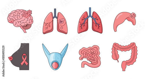 Collection of Human Organs Icons representing various body parts and medical conditions