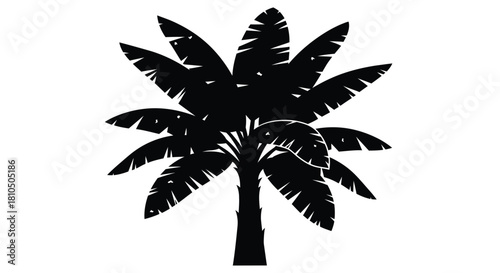 Palm Tree Silhouette Vector Icon. Black Tropical Beach or Desert Tree Symbol for Summer and Vacation Design.