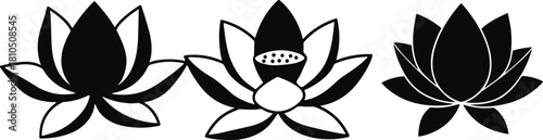 Elegant lotus flower silhouette set featuring three floral vector designs, spiritual meditation symbol, minimal nature illustration for decoration, branding, wellness themes