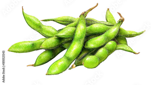 A vibrant pile of fresh green edamame pods shows healthy textured husks against a dark backdrop