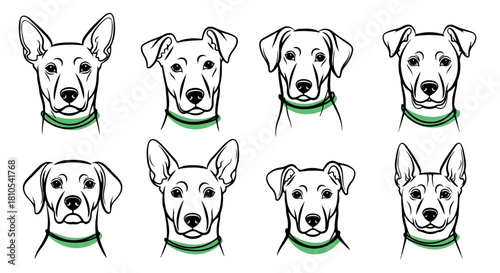 Dog head portraits collection with transparent background
