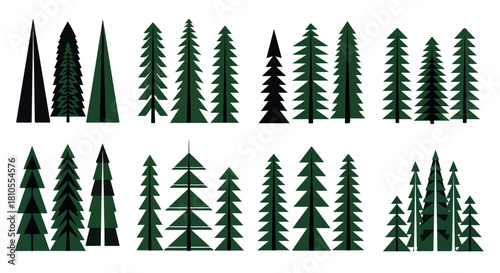 Evergreen trees collection in various sizes with transparent background