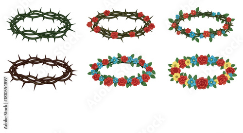 Crowns of thorns and flowers with transparent background