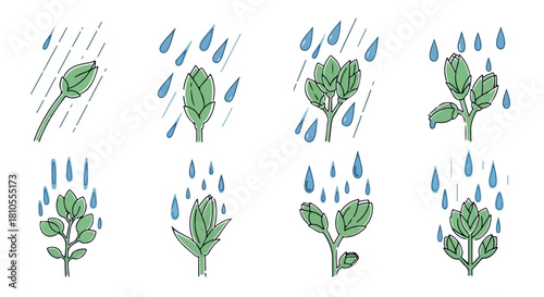 Plant growth stages with raindrops, simple style