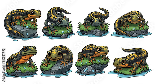 Salamanders on rocks with moss and water