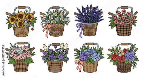 Flower baskets collection with various blooms