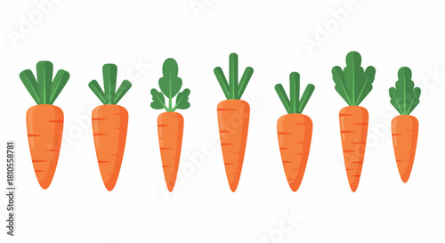 Row of carrots with transparent background