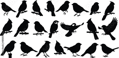 Large set of black bird silhouettes including cardinals and sparrows, isolated vector illustration collection, nature wildlife design elements for logo or tattoo.