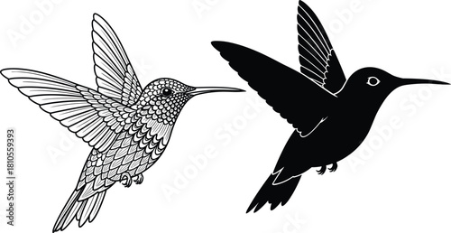 Hand drawn flying hummingbird sketch and black silhouette icon set, isolated vector illustration, nature wildlife animal design element for tattoo or logo.